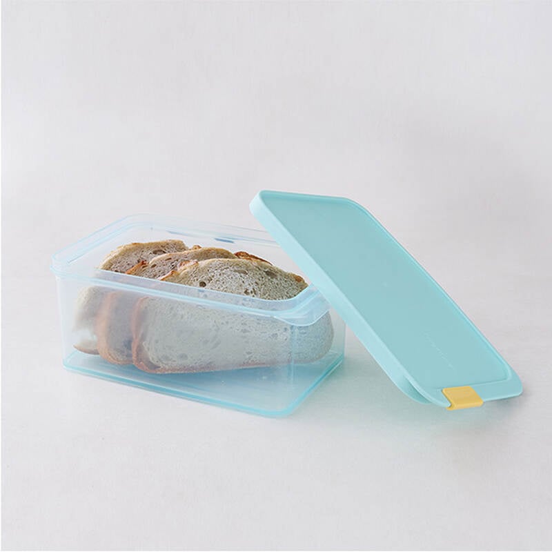 Hộp Trữ Đông Thực Phẩm Freezer Fit Locknlock Màu Tự Nhiên nhiều dung tích- HFL10 image number null